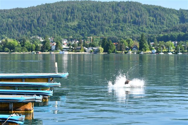 badestring am see