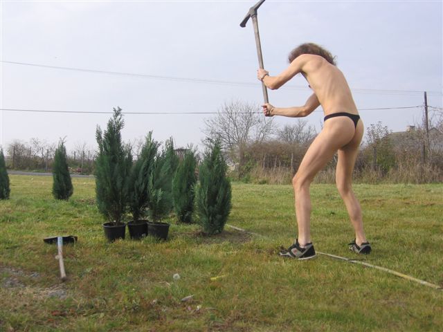 Swim gartenarbeit