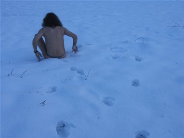bodensee im schnee