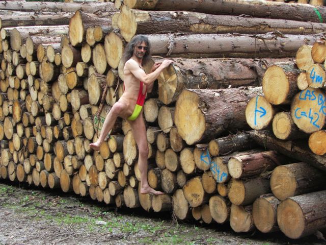 Ferien wald