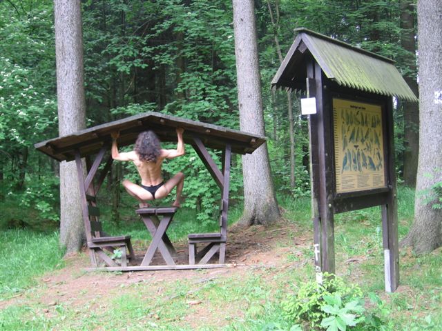 schön wald