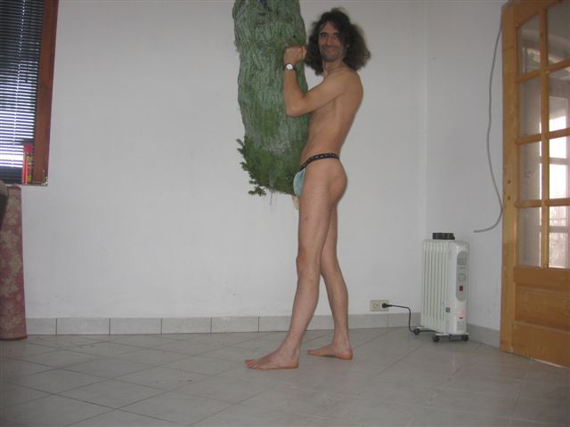 Fewo weihnachten