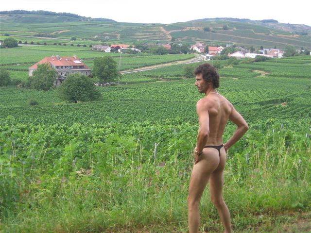 bikini Index weinberge