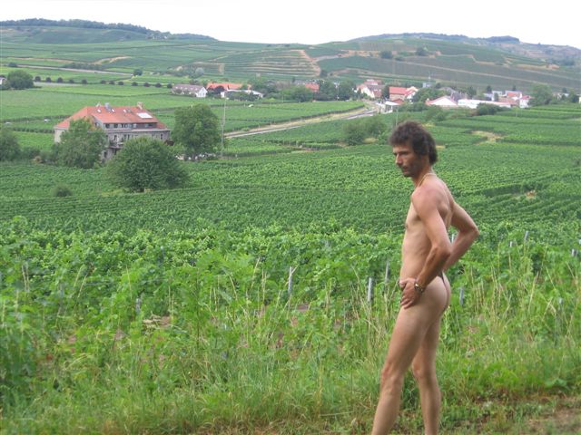 micro weinberge