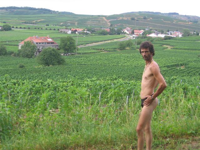 cookie weinberge