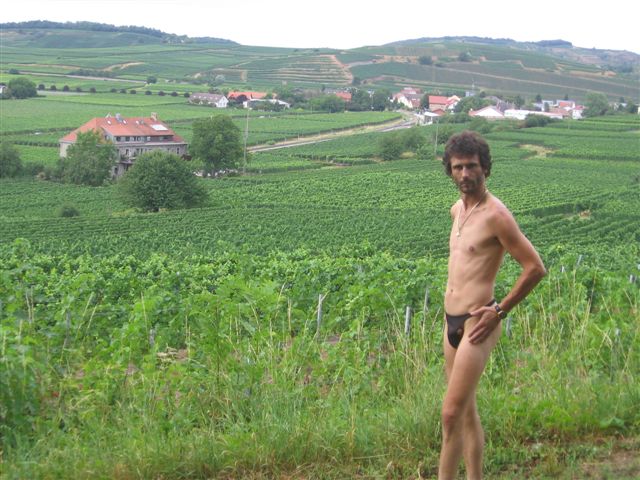 hot weinberge