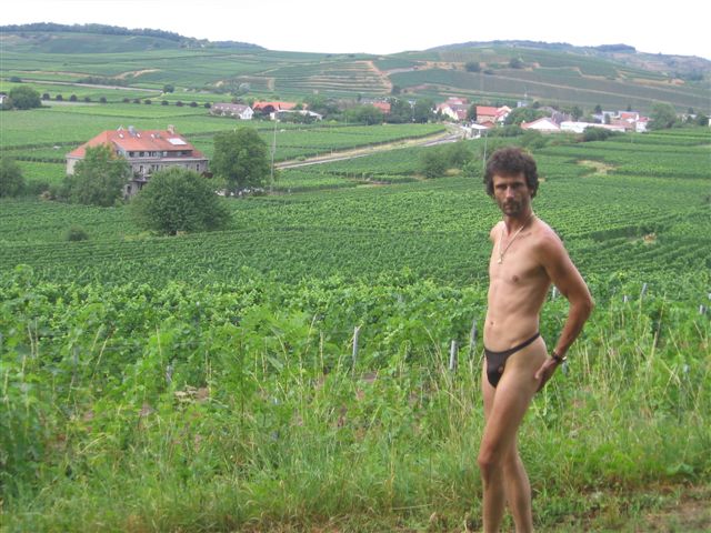 Tanga weinberge