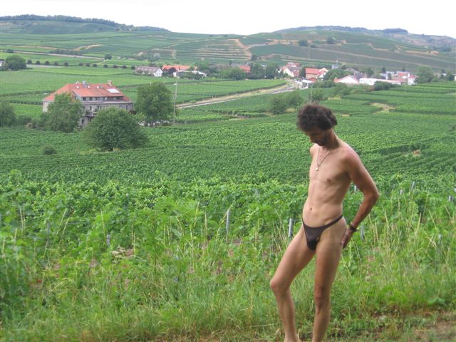 Men string Tanga weinberge